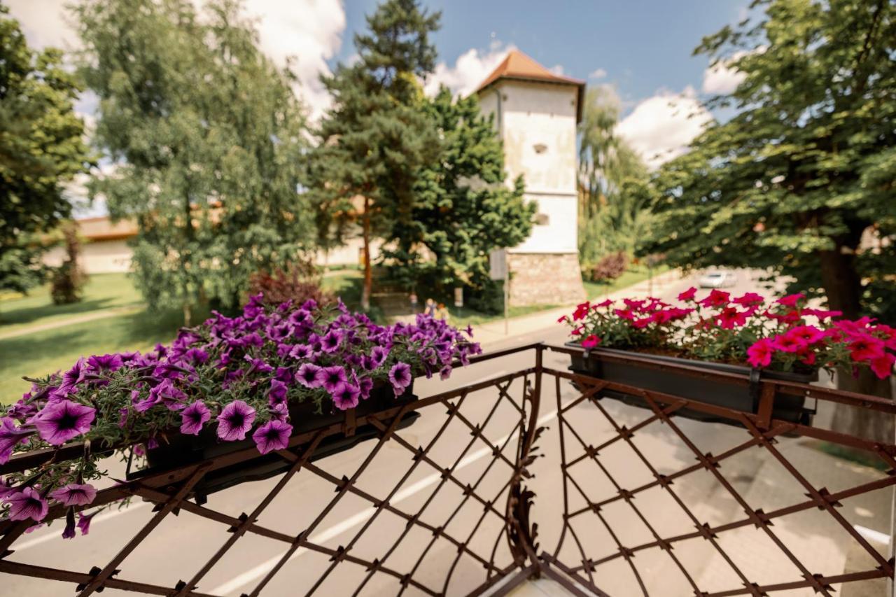 Hotel Haller Boutique Târgu-Mureş Exterior foto